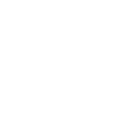 Insurance Icon