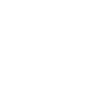 API Integration and Customization