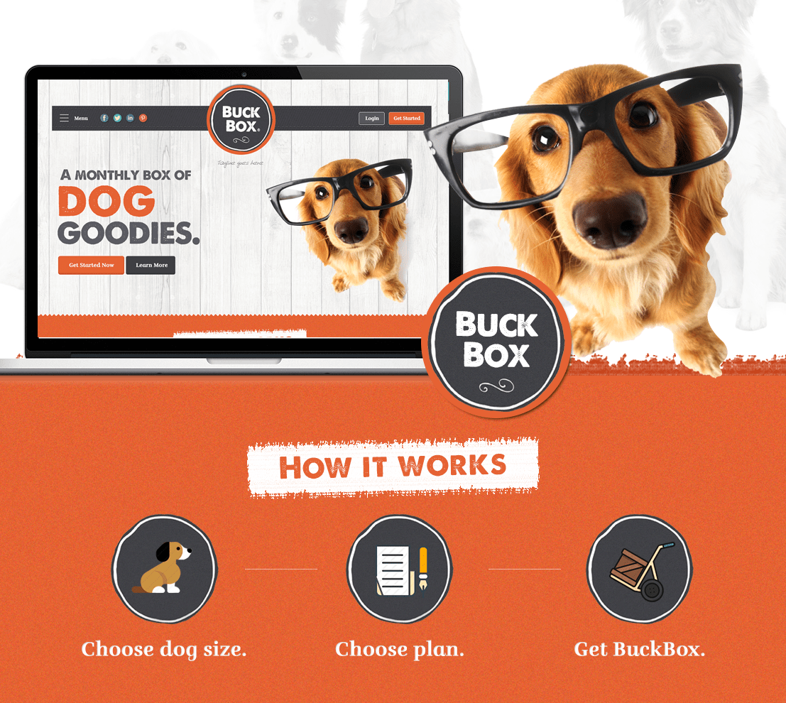 Buck Box