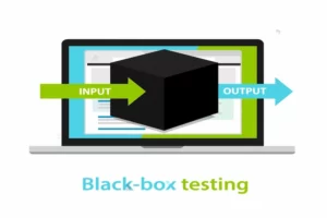 What is Black Box Testing